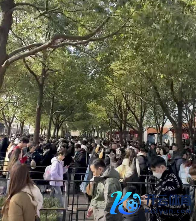 上海多个景点“东说念主从众” 春节旅游热度爆棚