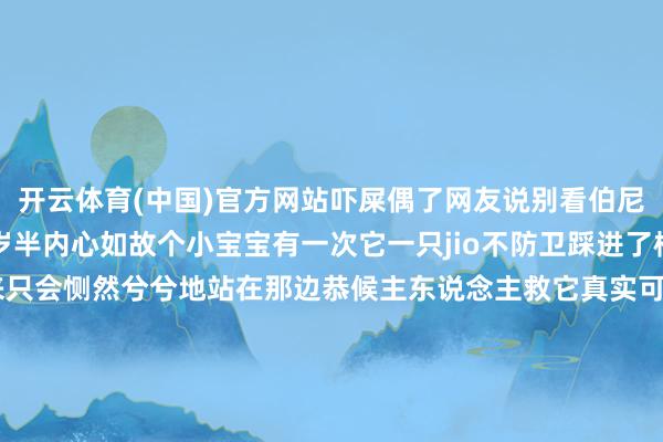 开云体育(中国)官方网站吓屎偶了网友说别看伯尼个头儿不小其实刚刚一岁半内心如故个小宝宝有一次它一只jio不防卫踩进了桶里却不知说念怎样走出来只会恻然兮兮地站在那边恭候主东说念主救它真实可人又好笑齐说狗狗的体型和胆子成反比看了伯尼后发现这话还真没错这么可人的大宝贝可一定要好好保护鸭！发布于：广东省-开云(中国)kaiyun网页版登录入口