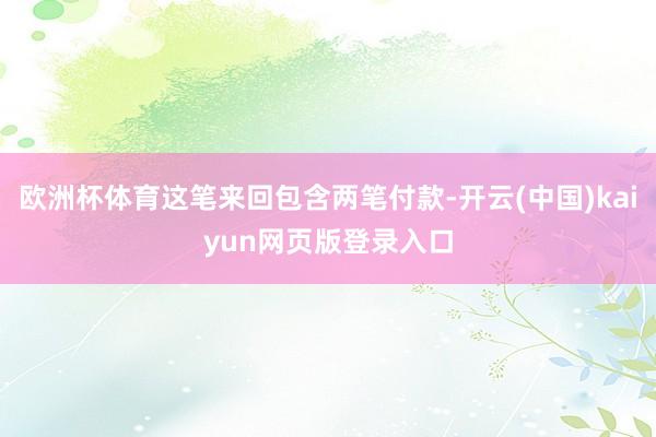 欧洲杯体育这笔来回包含两笔付款-开云(中国)kaiyun网页版登录入口